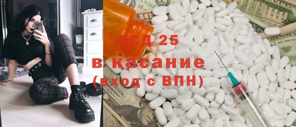 PSILOCYBIN Елабуга