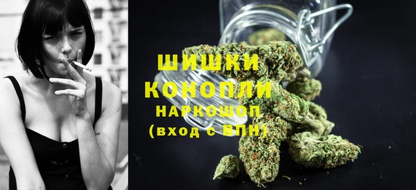 метадон Ельня